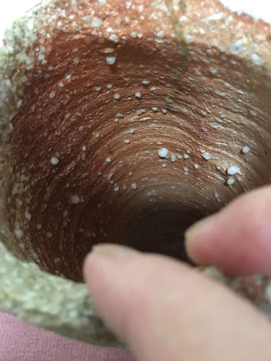 信楽焼 巨匠 澤清嗣作 花瓶 再お値下げ