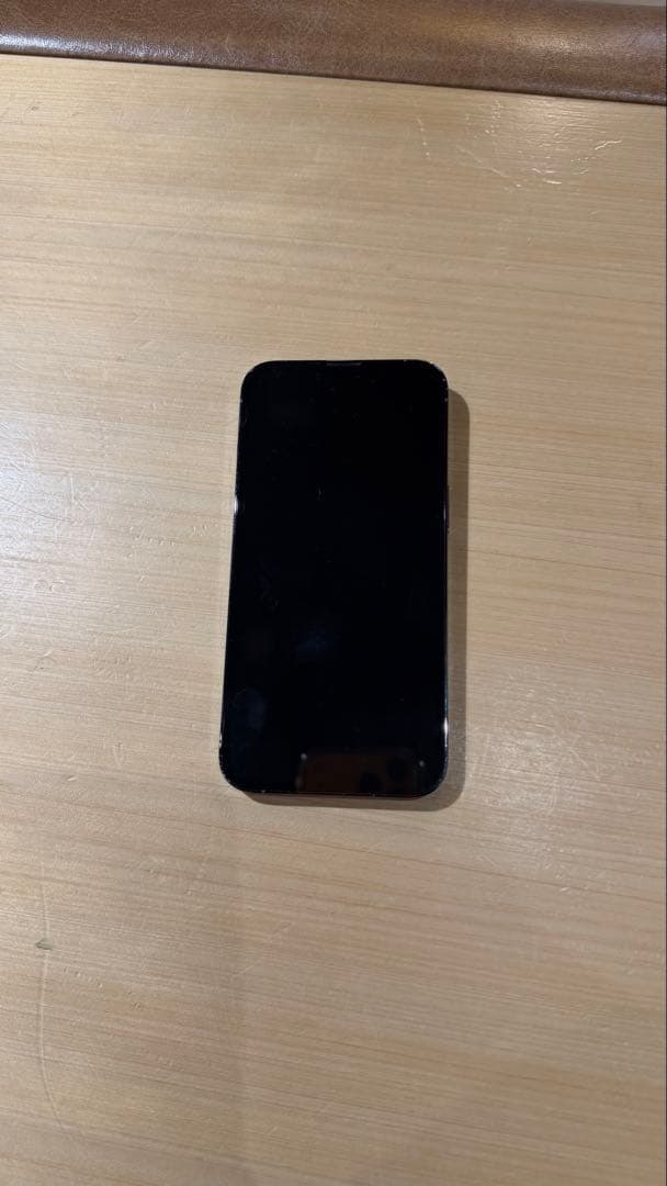 iPhone 13 Pro シエラブルー