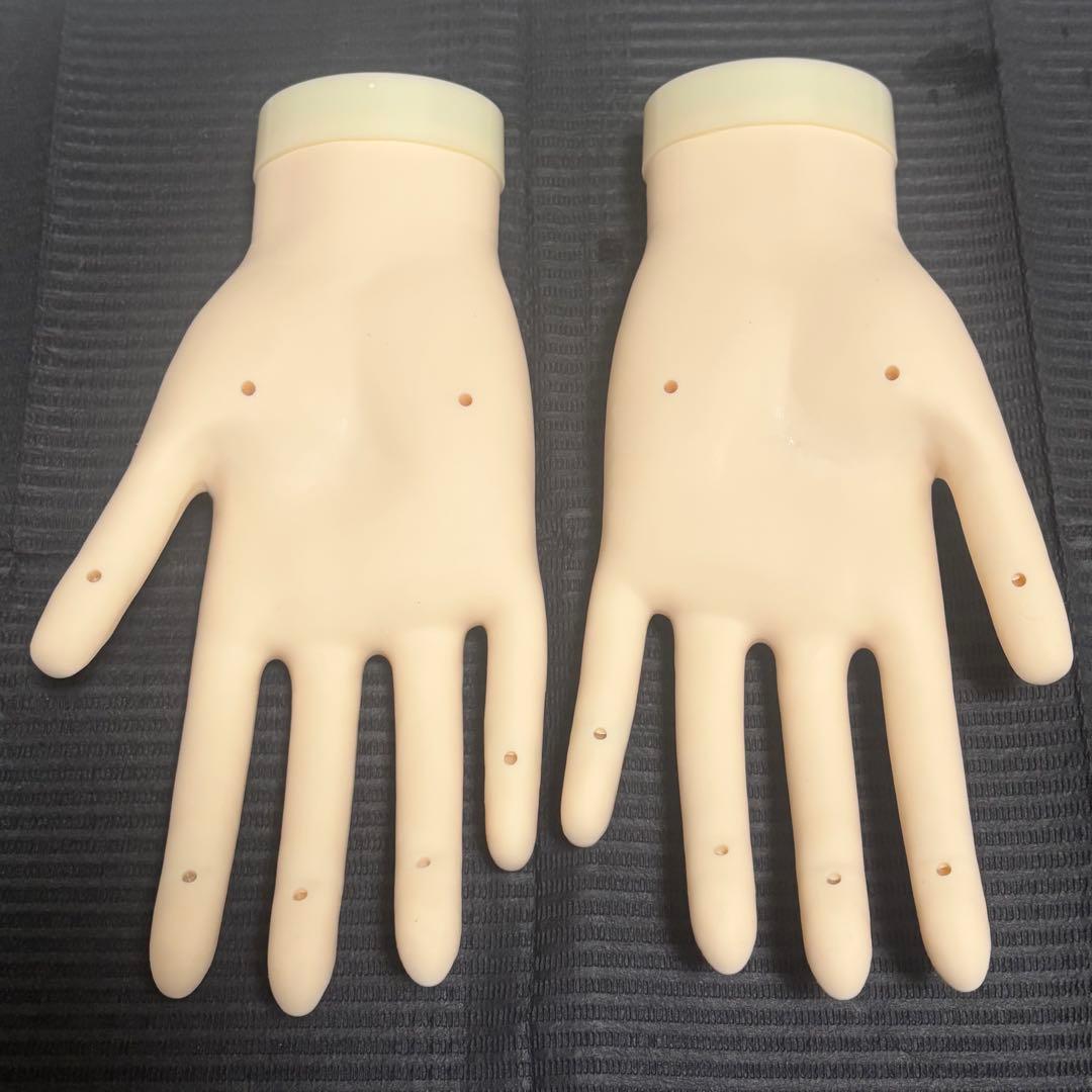 JNEC 認定 モデルハンド