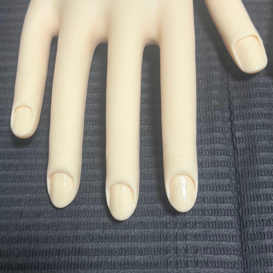 JNEC 認定 モデルハンド