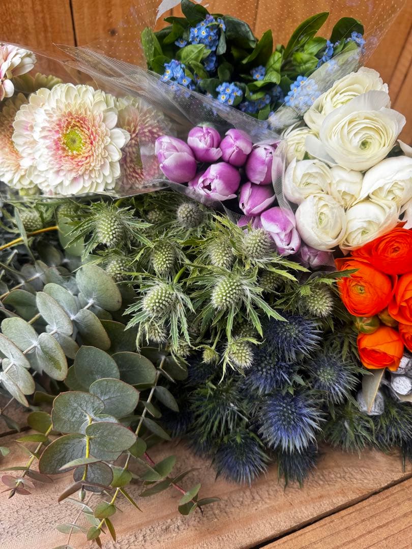 ✨11種お得セット【⭐️】ユーカリ　ラナン　チューリップ　ミランドール　切花　生花