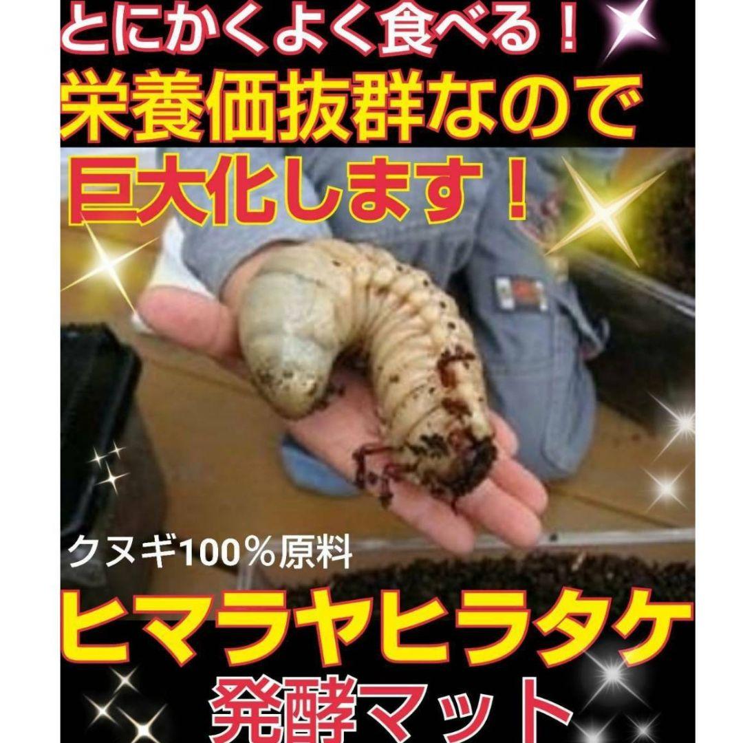 大量飼育に！良質　発酵カブトムシマット【500リットル】幼虫が丸々太る添加剤入り