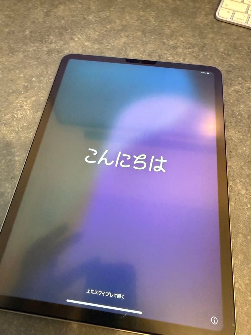 iPad Pro (11インチ) 第2世代 本体 Wi-Fiモデル