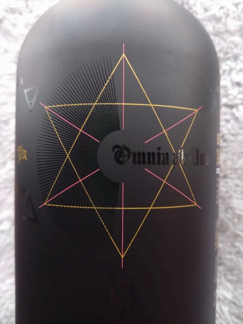 関係者持ち込み品 ブルイックラディ ブラックアート 1990 23年　E04.1