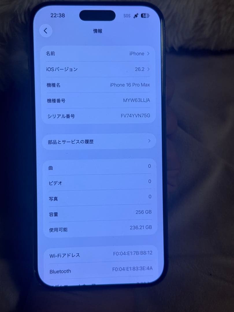 海外版iPhone 16 Pro Max 256GB,美品,バッテリーは98％