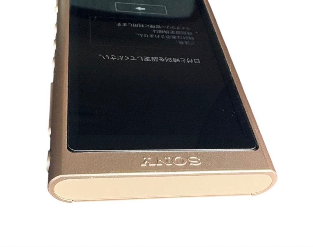 【美品】SONY WALKMAN NW-A55 16GB