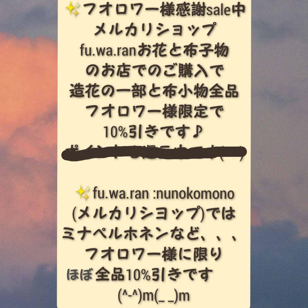 専用✨迎春2022✨正月飾り スカシホオズキ (ドライ)