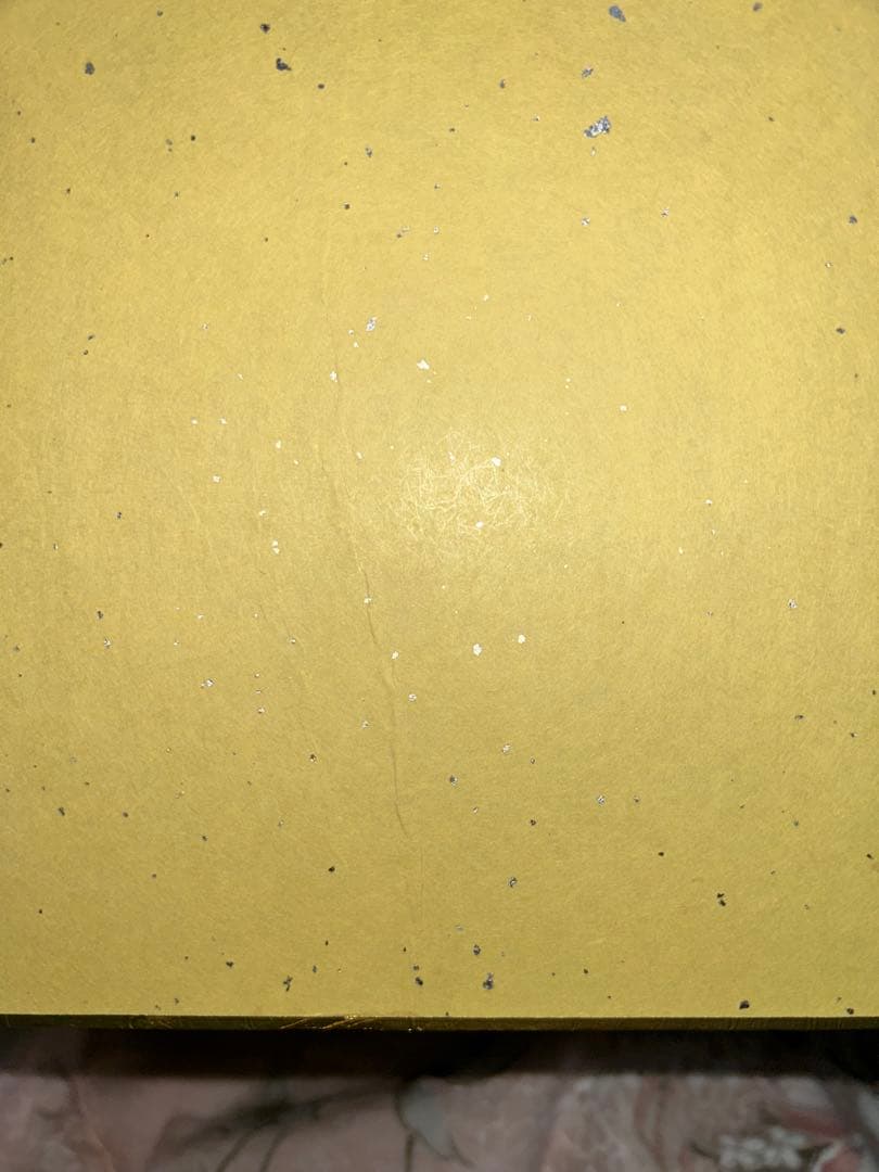 ドラゴンボール　野沢雅子さん　サイン色紙