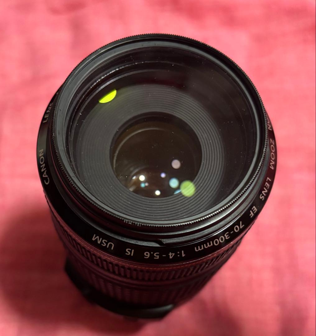 Canon EF 70-300mm f/4-5.6 IS USM ズームレンズ