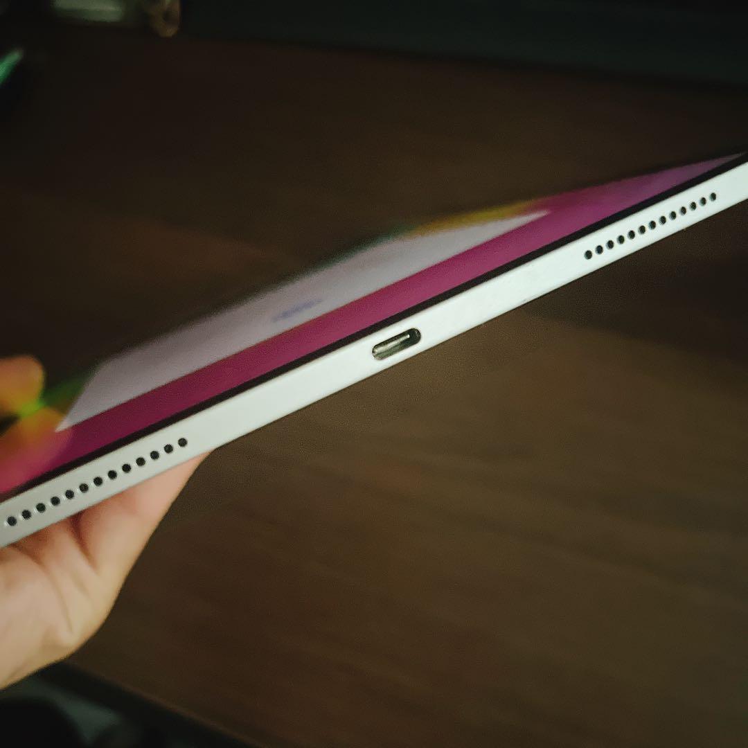 iPad Pro （11インチ）第二世代　256GB 本体のみ