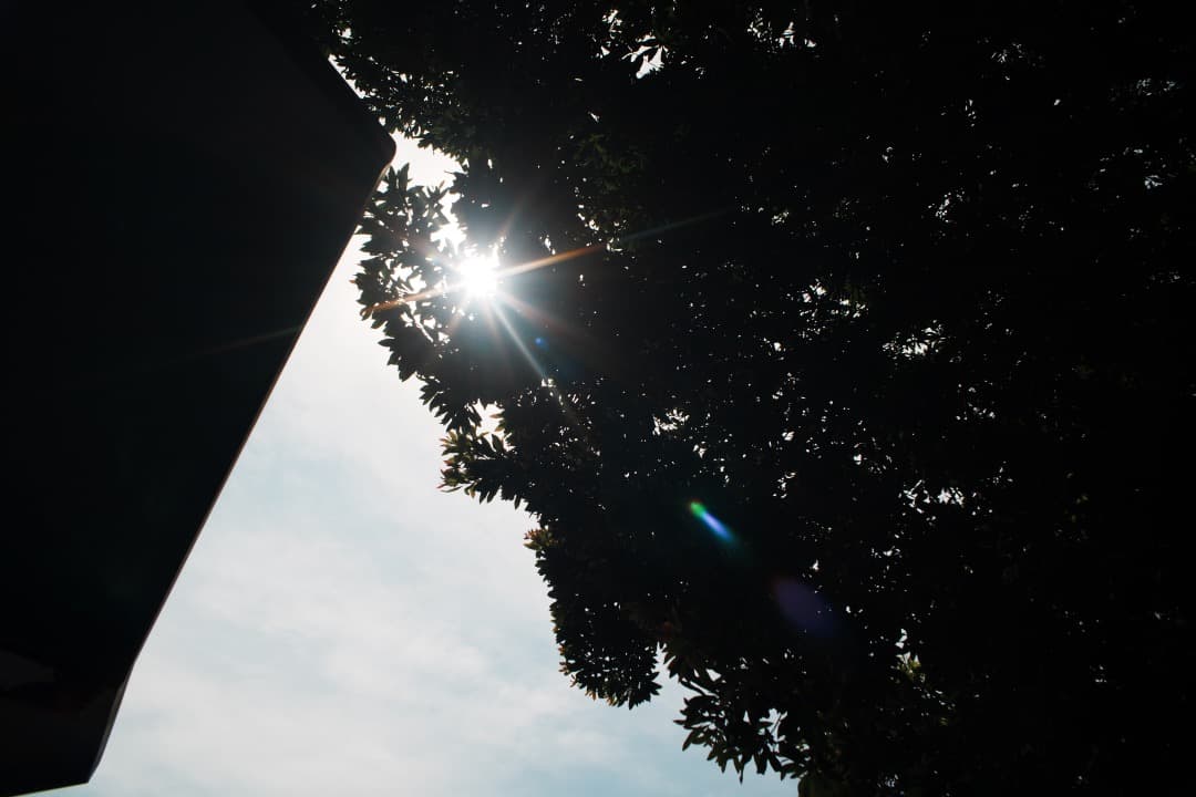 【美品】動作◎ オリンパス Zuiko auto-w 24mm F2 167