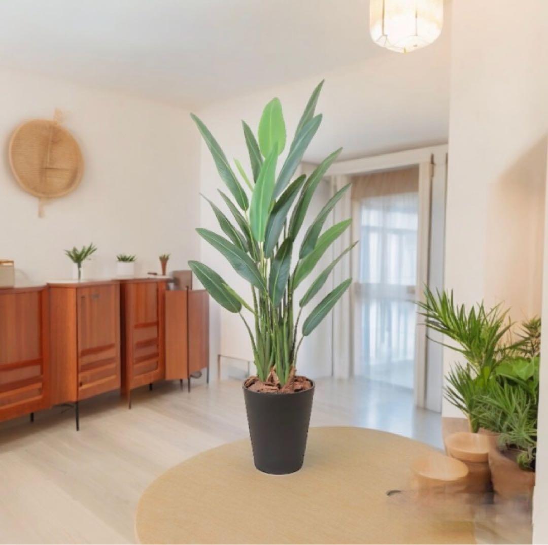 光触媒　人工観葉植物　ウォールグリーン　フェイクグリーン　ストレチアレギア