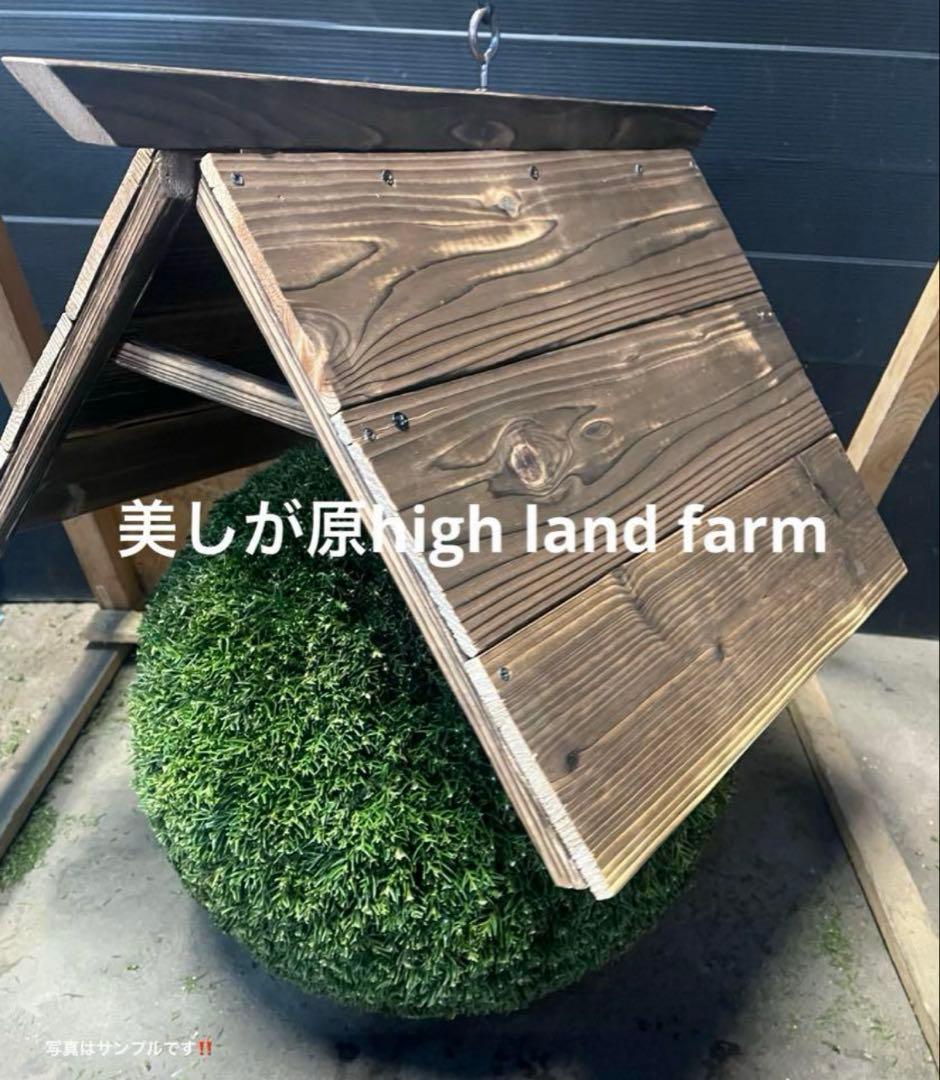 杉玉　約35㎝‼️お客様ご注文品　縁起物　丸くて幸せ　家族円満♪