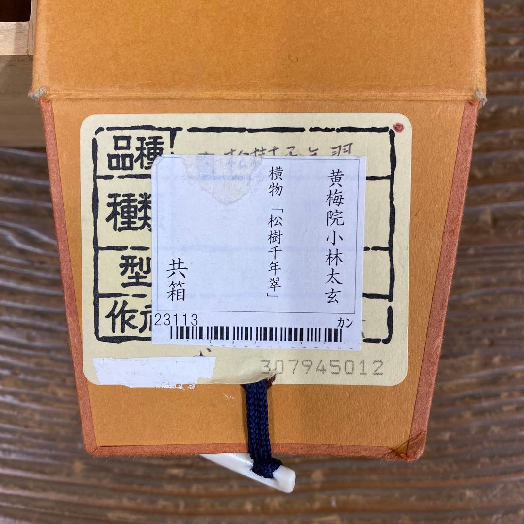 美品 掛け軸 小林太玄作「松樹千年翠」黄梅院 共箱 禅語 縁起物 正月掛け