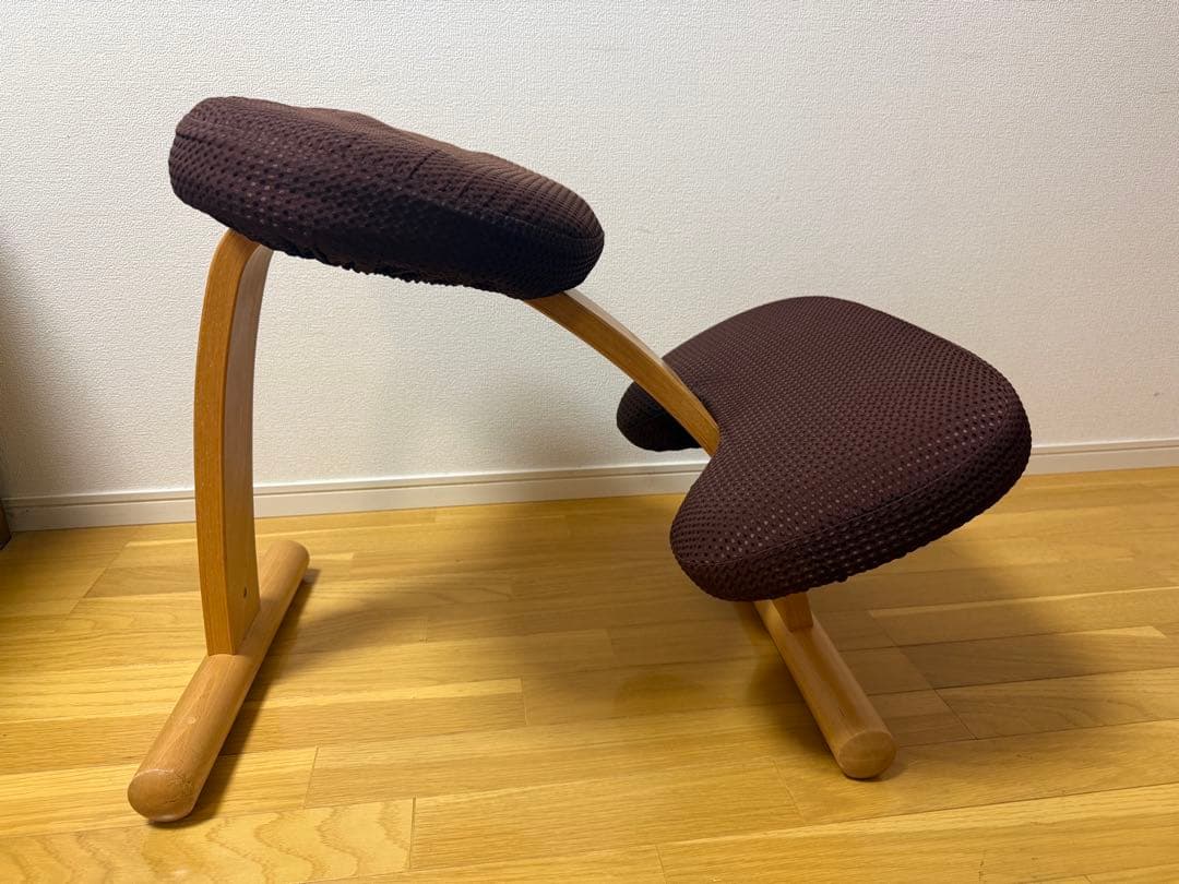 Rybo社 リボ社　［専用カバー付]　バランスチェア イージー