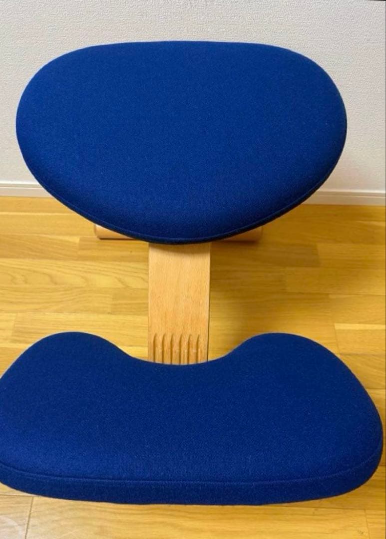 Rybo社 リボ社　［専用カバー付]　バランスチェア イージー