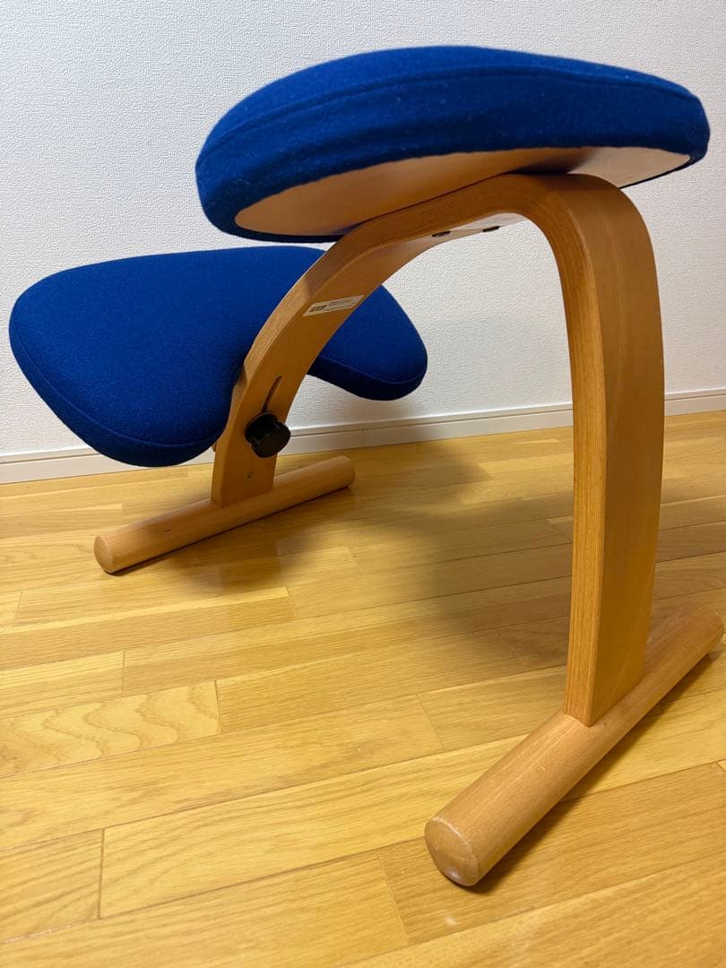 Rybo社 リボ社　［専用カバー付]　バランスチェア イージー