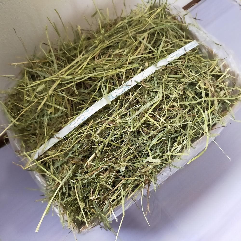 US産 チモシー 50kg ２番刈り ソフトSプレミアム