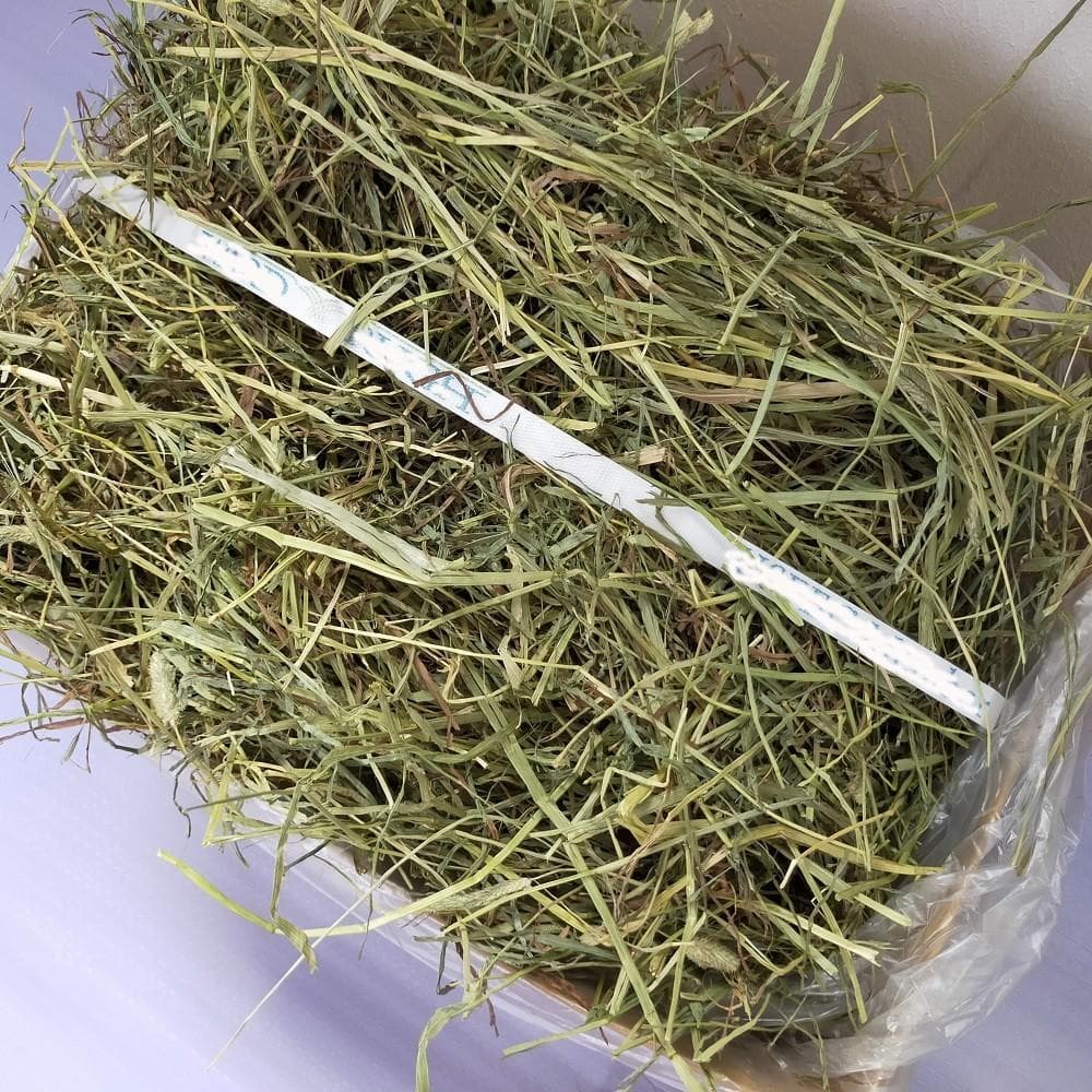 US産 チモシー 50kg ２番刈り ソフトSプレミアム