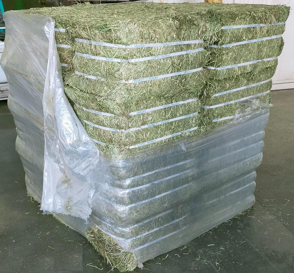 US産 チモシー 50kg ２番刈り ソフトSプレミアム