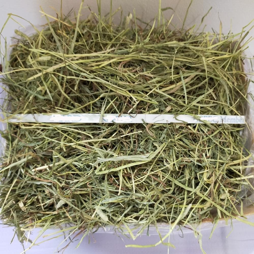 US産 チモシー 50kg ２番刈り ソフトSプレミアム