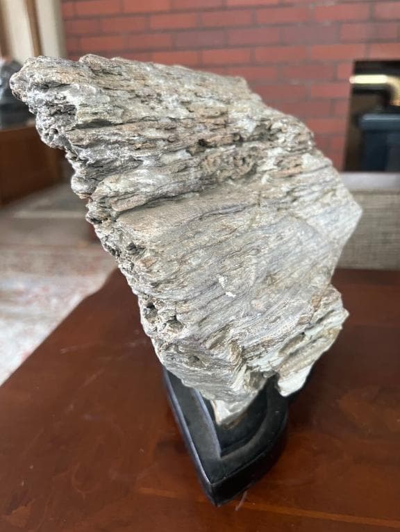 石収集家 人生コレクション 珪化木 天然石 鑑賞石 自然石 置物 台座付 お宝