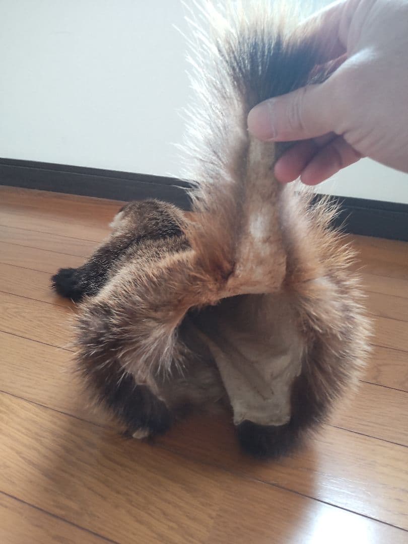 アナグマの鞣し毛皮[ハンドメイド]