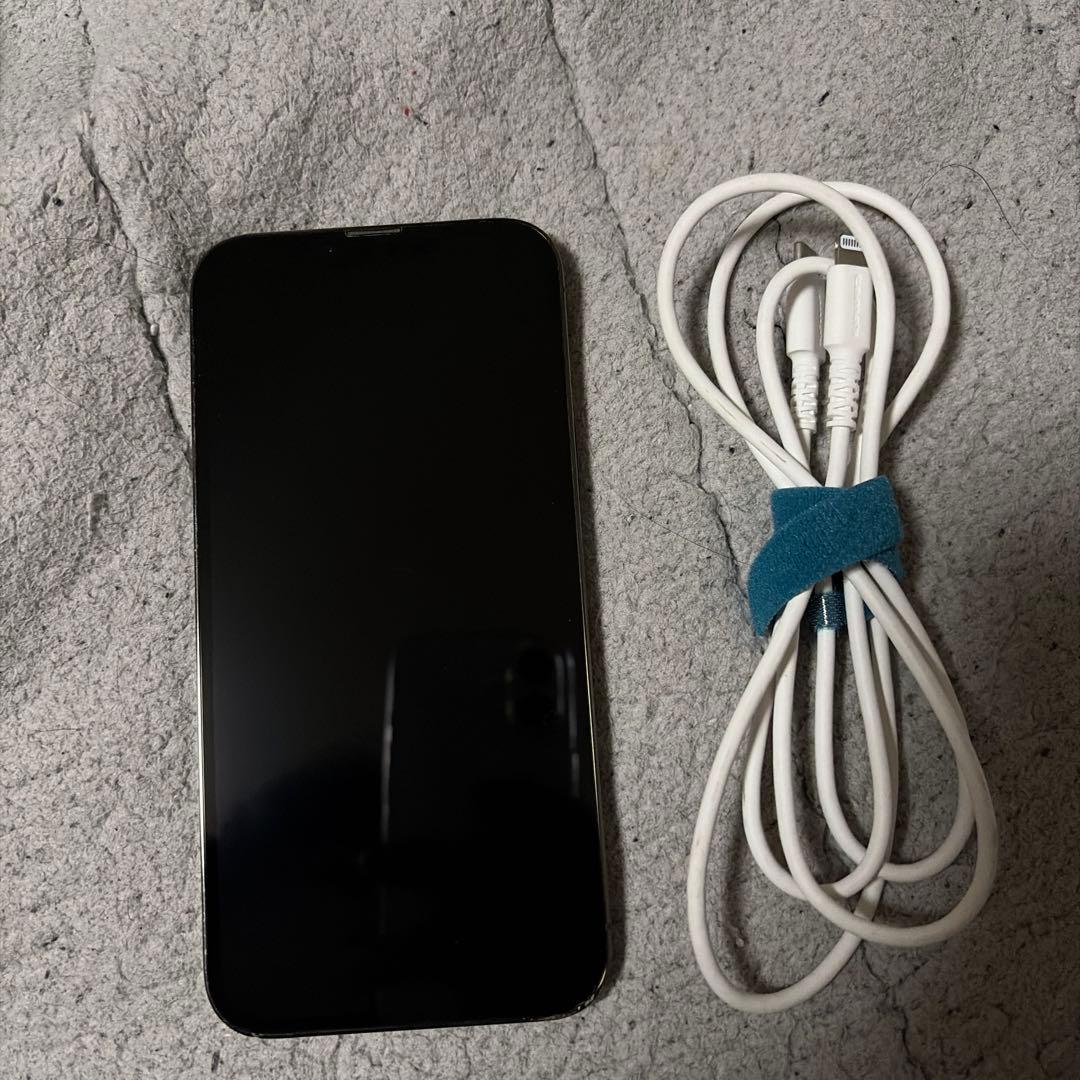 Apple iPhone 13 Pro Max グラファイト 充電ケーブル付き