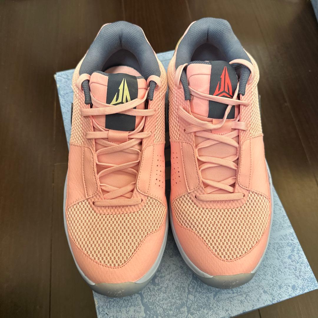 シューズ(男性用) NIKE JA 1 PE 29cm