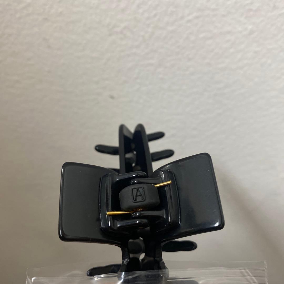 新品ALEXANDRE DE PARIS アレクサンドルドゥパリ　ヘアクリップ