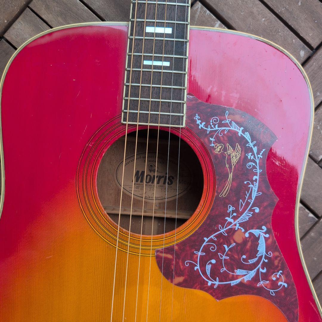 MORRIS ハミングバード WH−20 チェリーサンバースト！