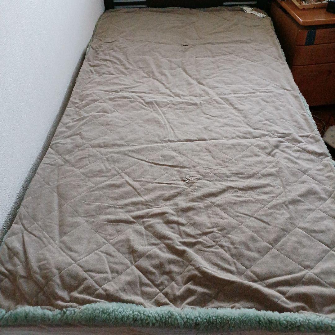 Nichiro Mouton シングルサイズラグ 緑色