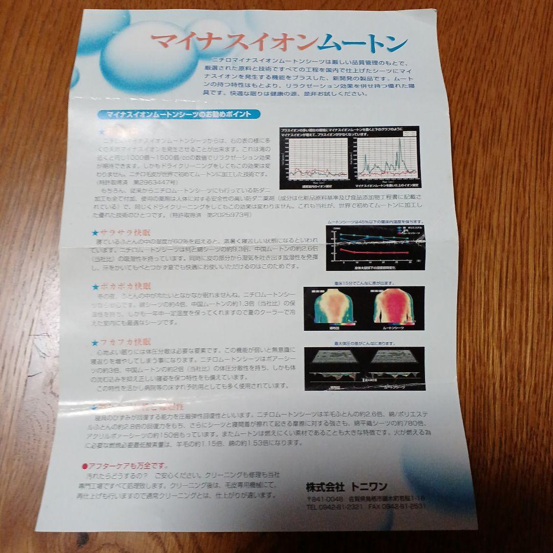 Nichiro Mouton シングルサイズラグ 緑色