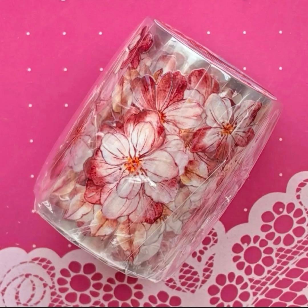 贝壳光 赤想思 5.5cm×6m 海外マスキングテープ海外マステ　花