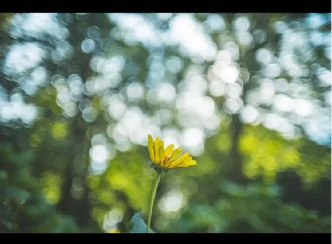 美品 Kiron 28mm F2 オールドレンズ