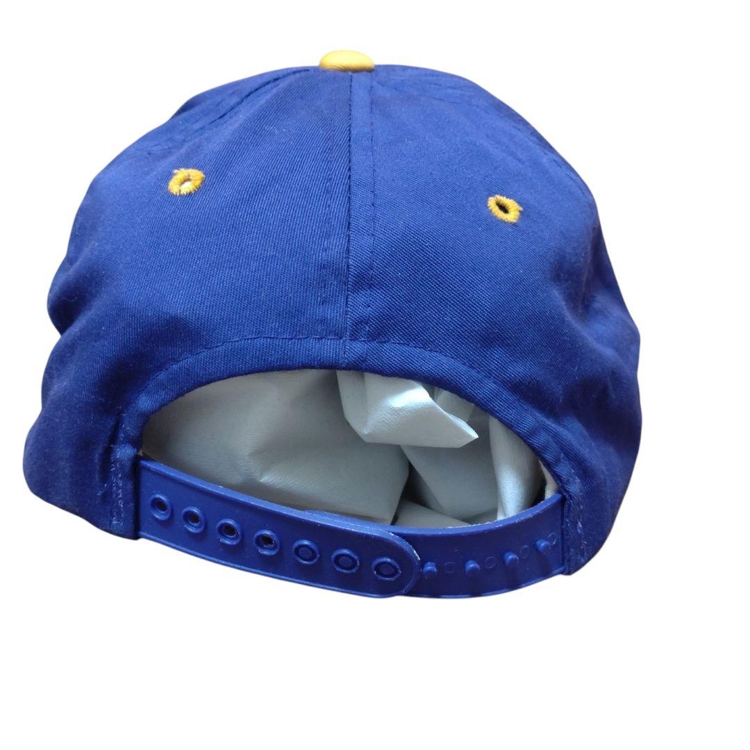 MINNESOTA VIKINGS CAP パープル×ブラック