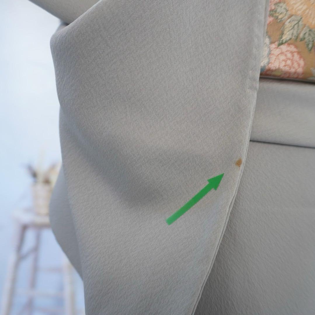 訪問着 フルセットa496 D 卒業式　入学式　お宮参り　七五三　結婚式