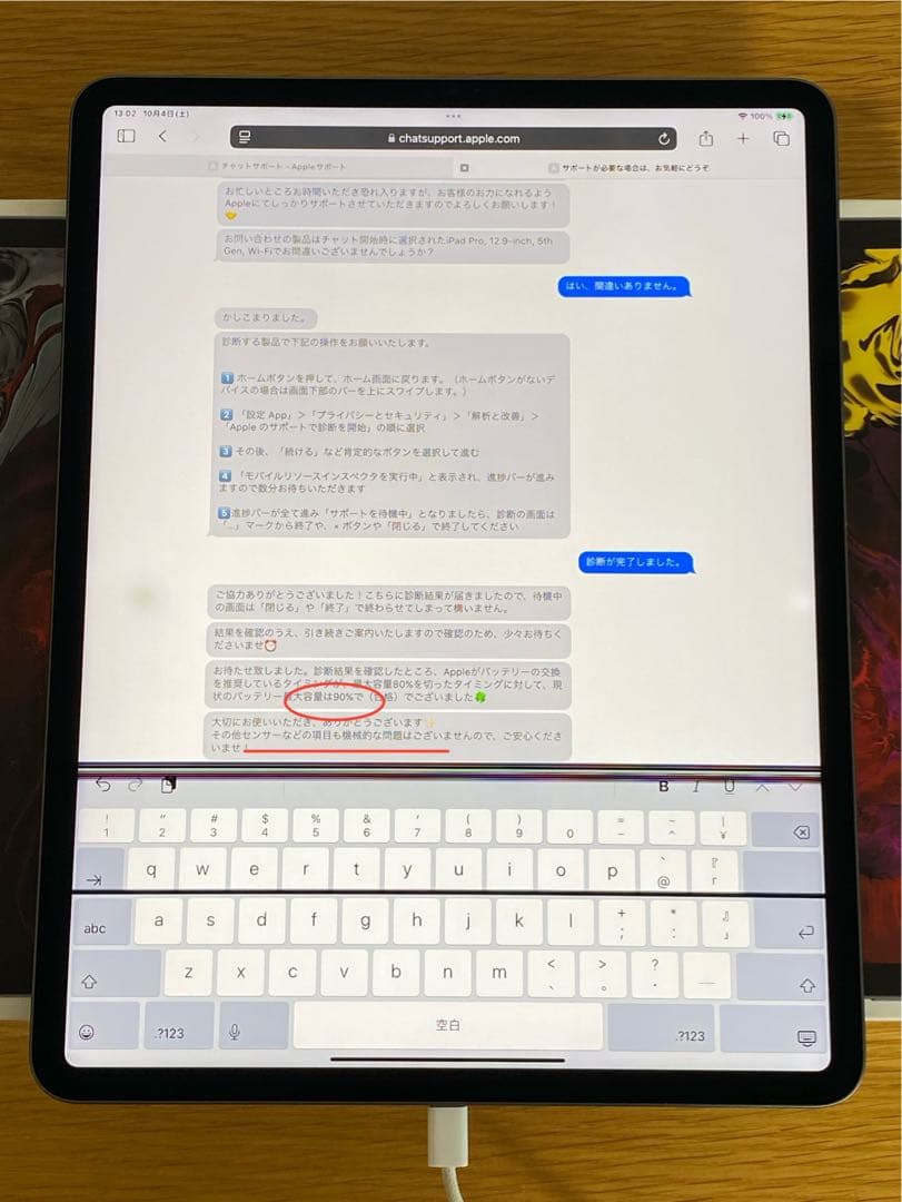 iPad Pro 第5世代　電池良好 iPad本体　難あり