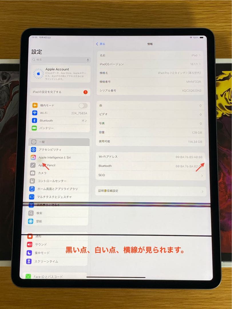 iPad Pro 第5世代　電池良好 iPad本体　難あり