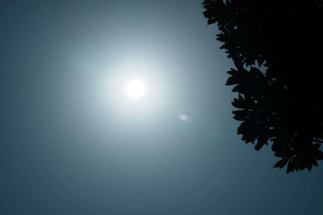 【極美品】Sony Gマスター SEL85F14GM 85mm F1.4 ボケ王