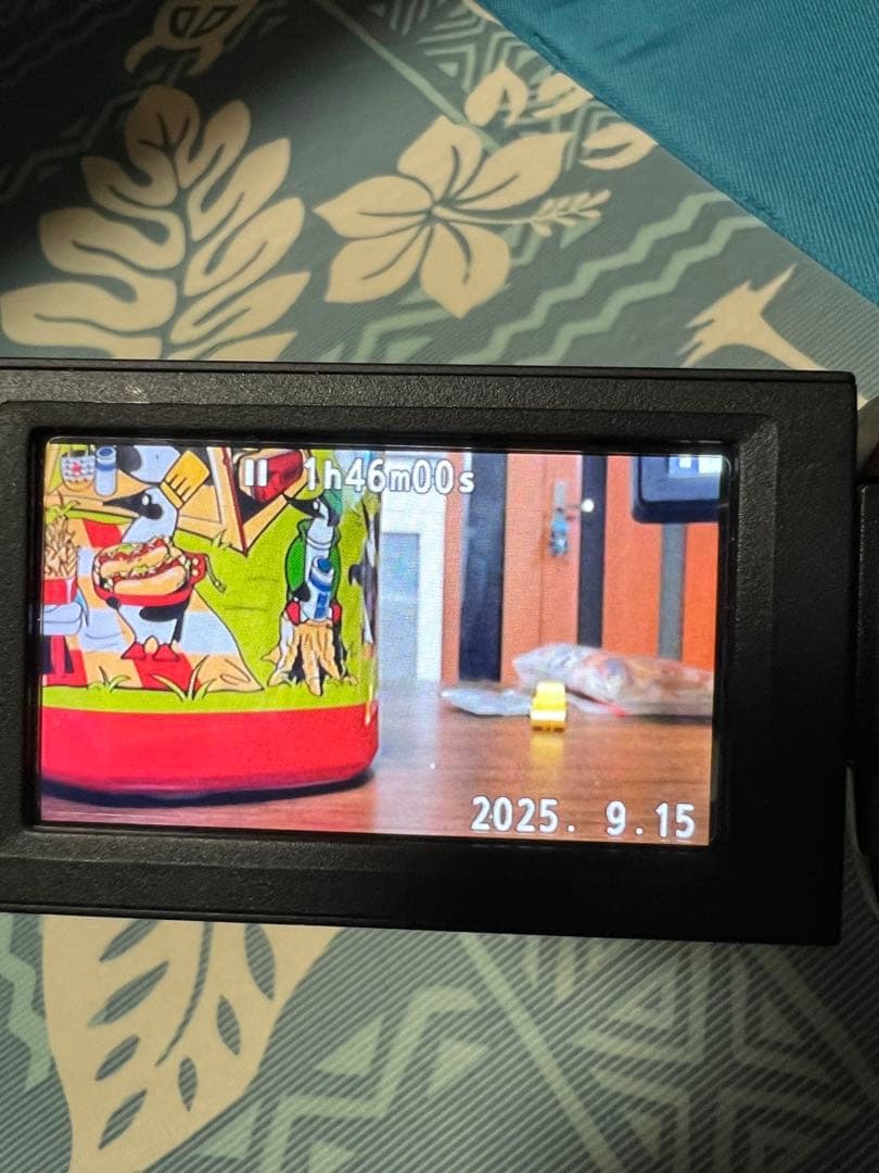 【三脚とセットで】Panasonic パナソニックHDC-TM45 ビデオカメラ