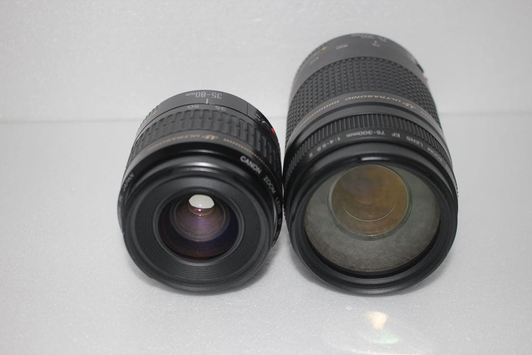 一眼レフカメラ/Canon EOS 90D標準&望遠ダブルレンズセット