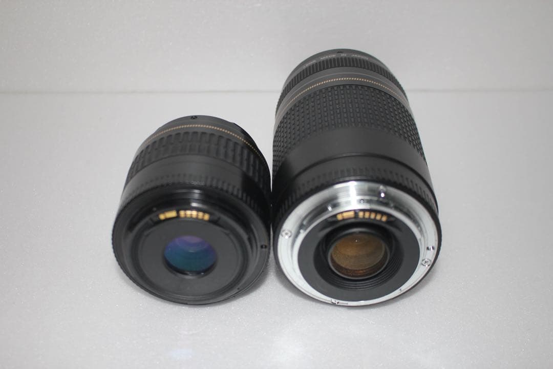 一眼レフカメラ/Canon EOS 90D標準&望遠ダブルレンズセット