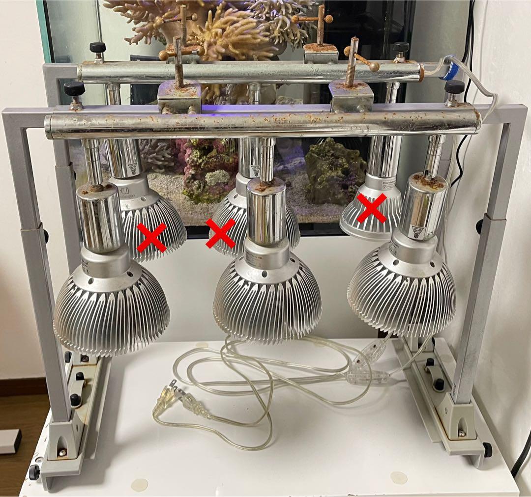 水槽用 ライト アーム クランプセット ボルククスジャパン カミハタ