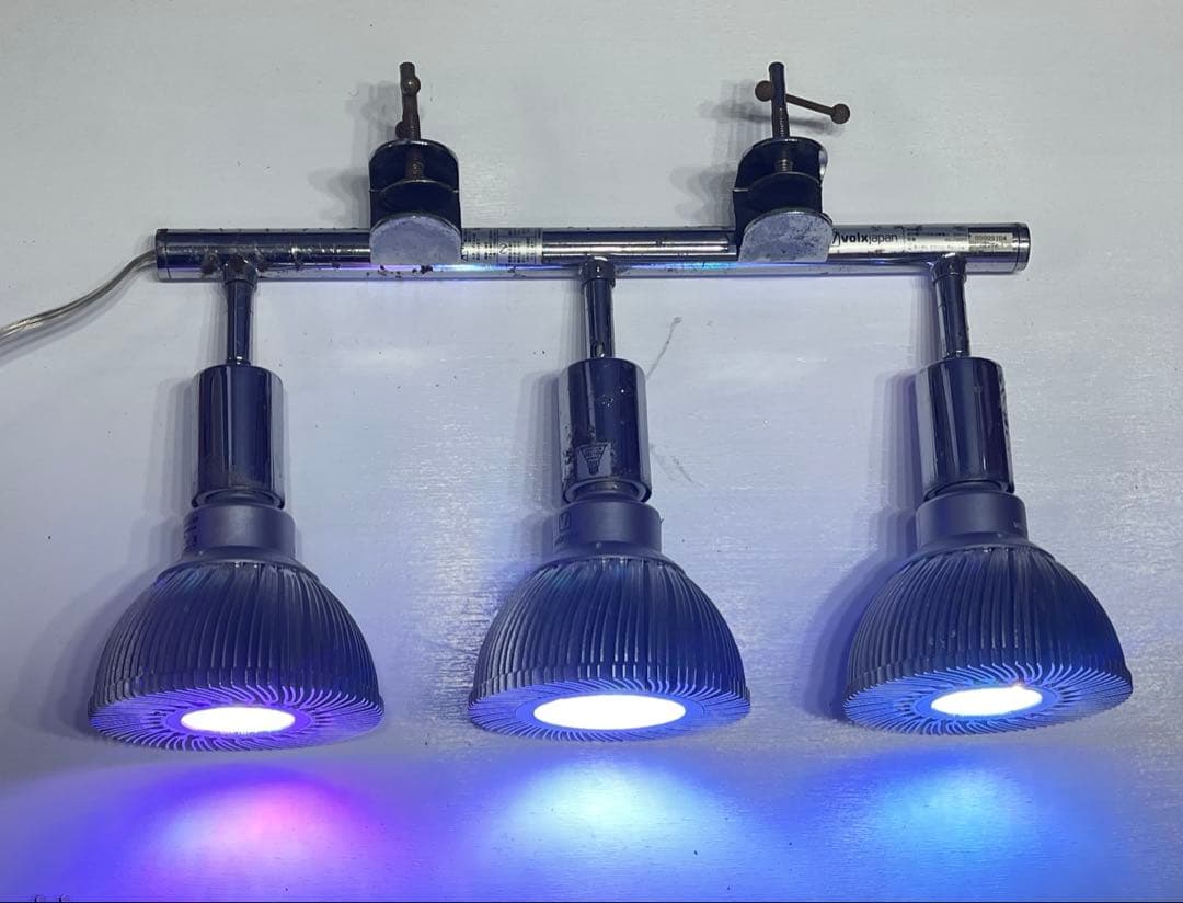 水槽用 ライト アーム クランプセット ボルククスジャパン カミハタ