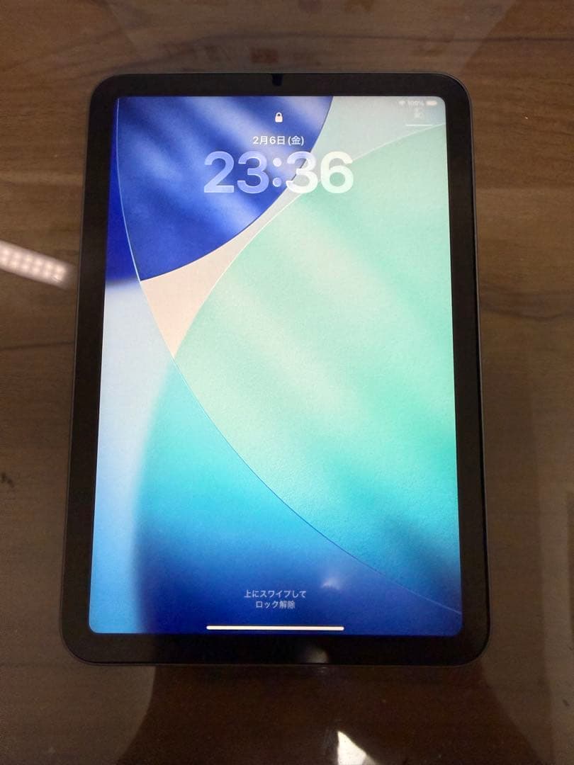 iPad mini 256GB 第６世代 Wi-Fi 純正ペン付き