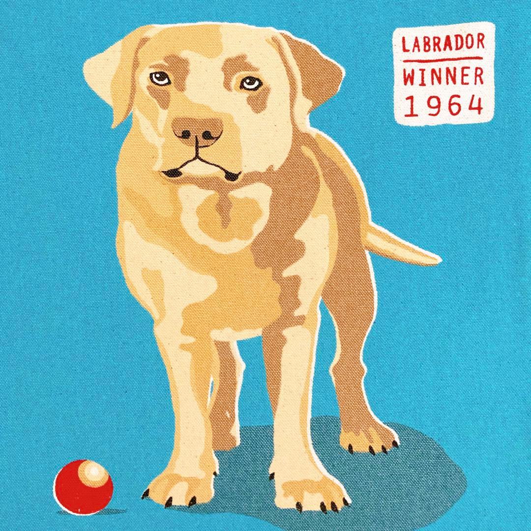 mota　ラブラドール　犬柄とネコ柄　エプロンとトートバッグセット　4点