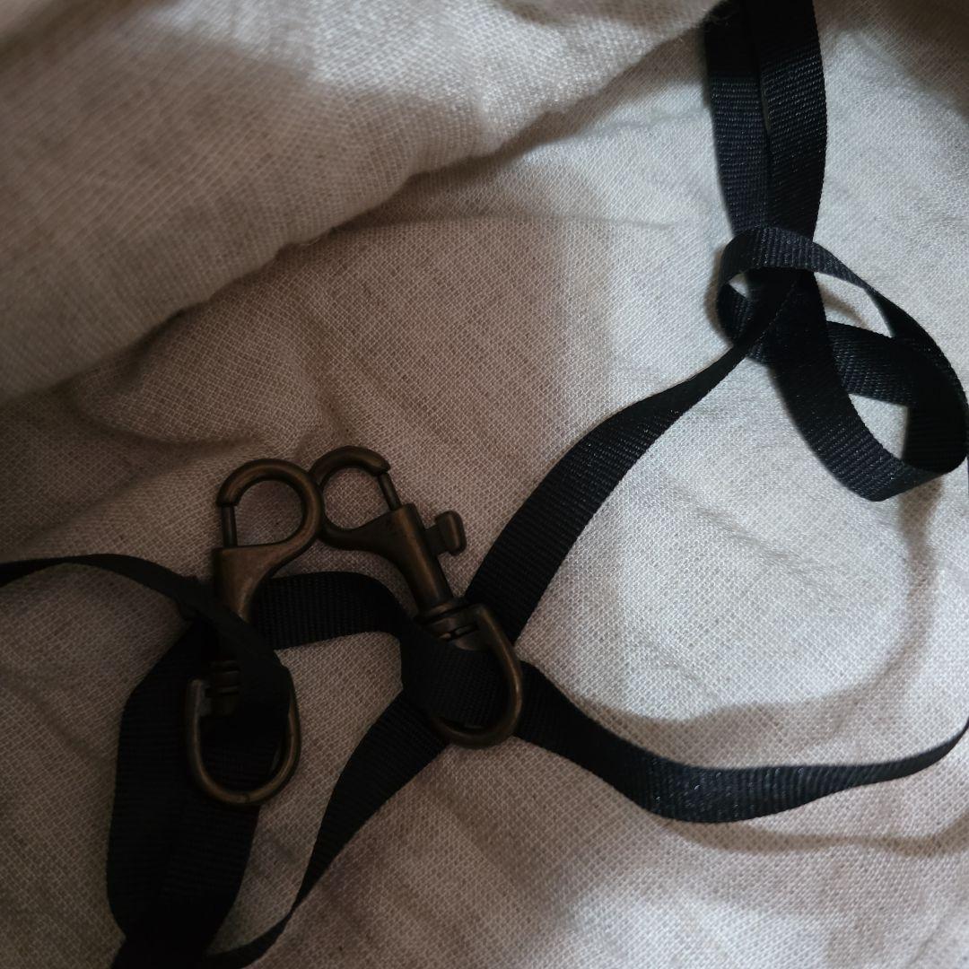 LA 発Louis dogのキャリーバッグ