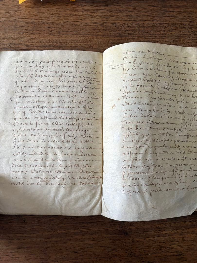 【アンティーク】羊皮紙 全12ページ綴1656年フランス 古文書