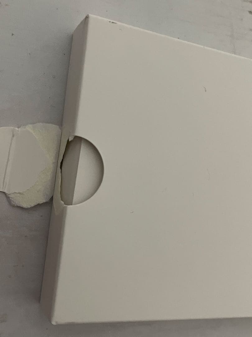 JBL FLIP6 スクワッド　箱付き　美品